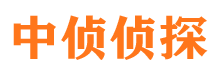 大观市侦探调查公司